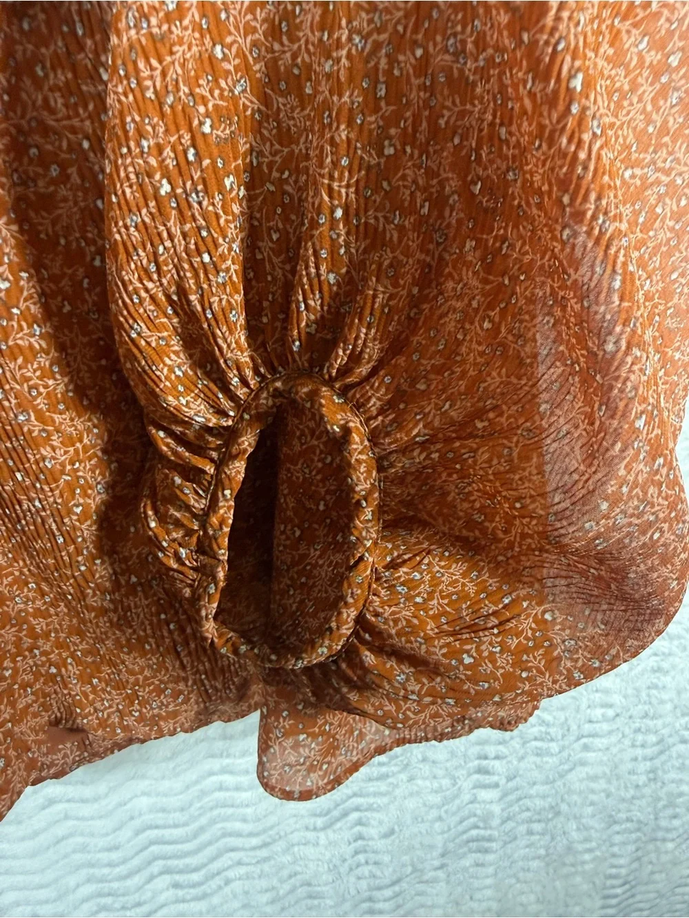 Astr Rust Floral V-Neck Puff Sleeve Blouse. Sheer arms and screams fall 🔥🧡